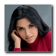Asin-Gallery